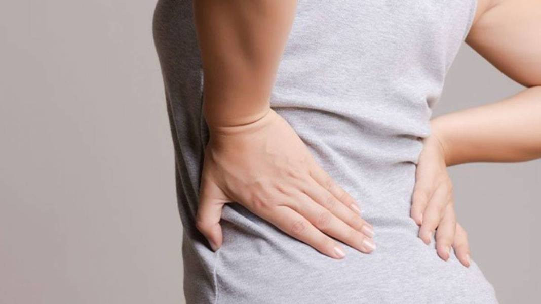 Havalar ısındı böbrek taşına dikkat! Uzman isim uyardı - Resim: 23